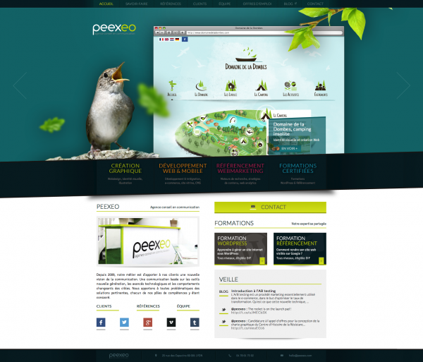 Agence web et Communication à Lyon - Peexeo
