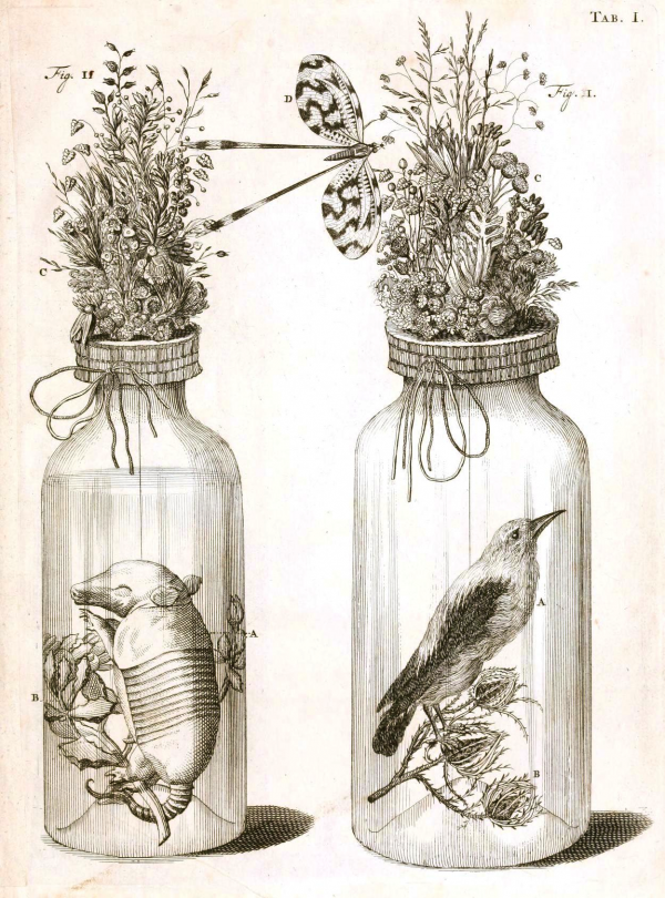 Science-Medicine-Animals-in-jars-5