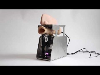 Diemut Strebe : The Prayer